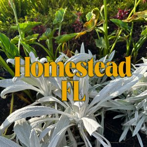 Miami (Homestead), Florida - May 2026